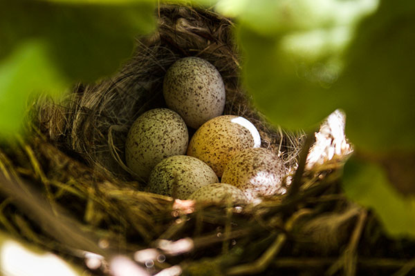 La Valle di Vico - Instagram Foto
