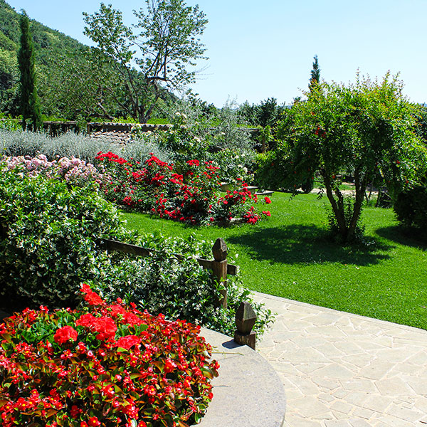 La Valle di Vico - Parco