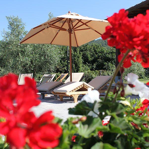 La Valle di Vico - Piscina